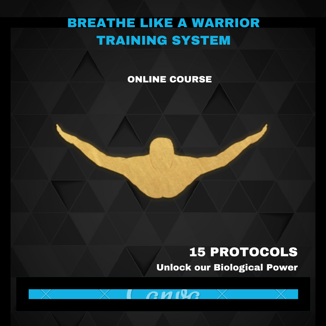 BLW ONLINE COURSE COVER